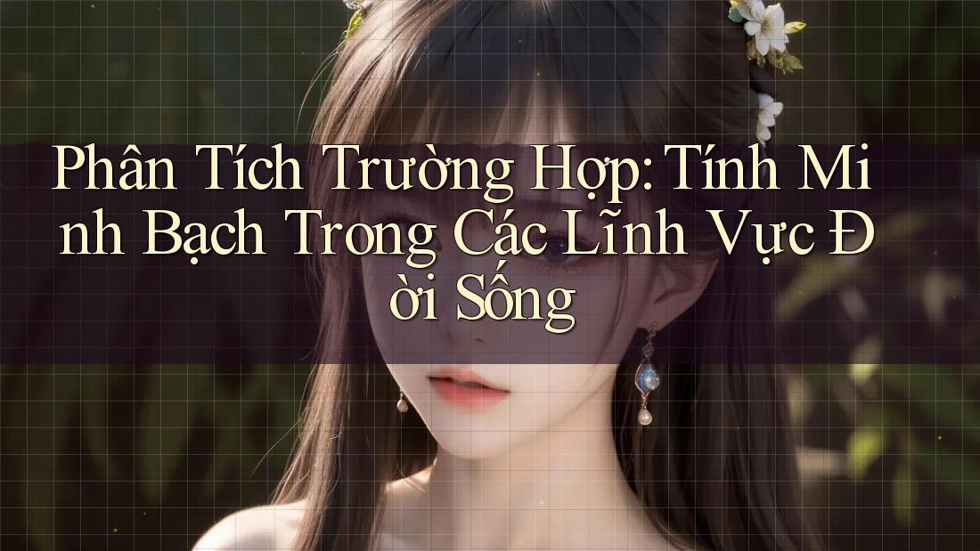 Phân Tích Trường Hợp: Tính Minh Bạch Trong Các Lĩnh Vực Đời Sống