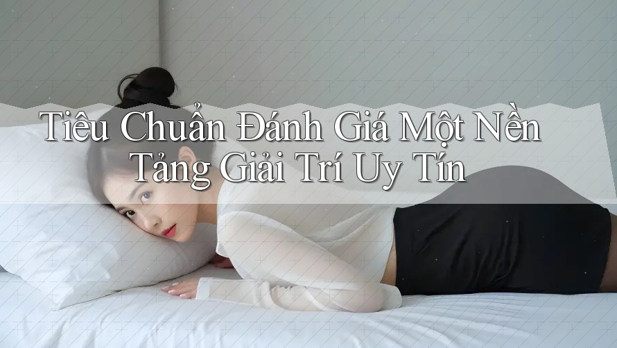 Tiêu Chuẩn Đánh Giá Một Nền Tảng Giải Trí Uy Tín